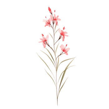 Wild flower watercolor on isolated background.Created with Generative AI technology. png