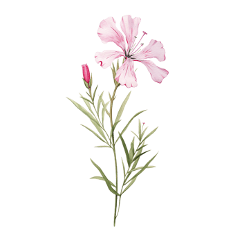 Wild flower watercolor on isolated background.Created with Generative AI technology. png