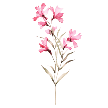 Wild flower watercolor on isolated background.Created with Generative AI technology. png