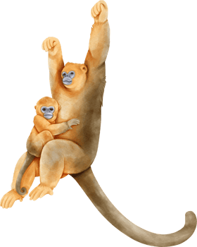 Watercolor Mokey Swinging. Golden snub nosed png