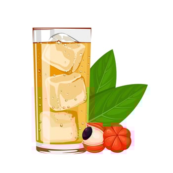 Vector illustration, glass of guarana soda, with guarana berries, and green leaves, isolated on white background.