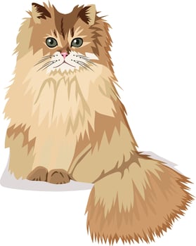 Cartoon cat, white background, vector