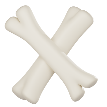 White bone 3d render png