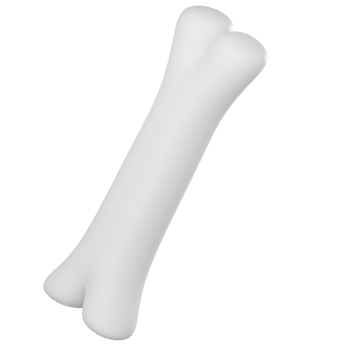 White bone 3d render png