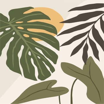 Beautiful vector wall art and graphics for home decor