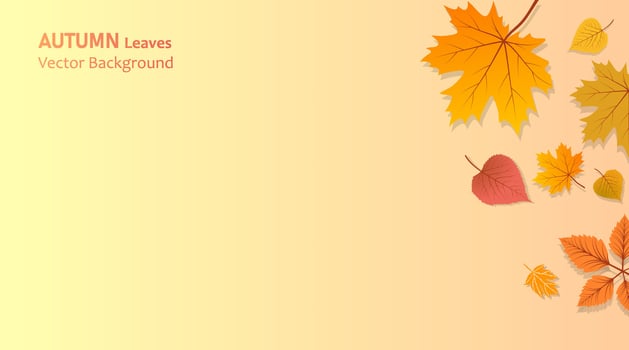 Vector background with red, orange, brown and yellow falling autumn leaves