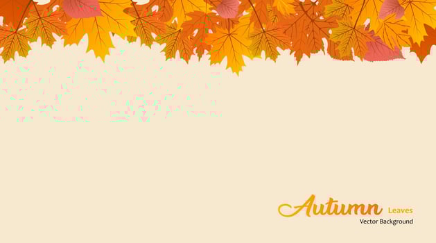 Vector background with red, orange, brown and yellow falling autumn leaves