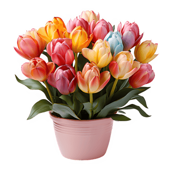 tulips in a vase isolated on transparent background ,tulip flowers cut out png ,generative ai
