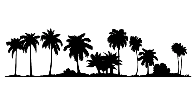 Tree silhouette set isolated on transparent background ai generated png