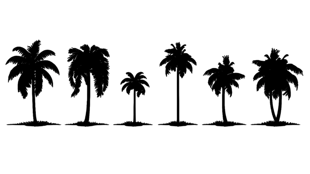Tree silhouette set isolated on transparent background ai generated png
