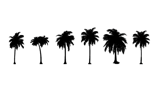 Tree silhouette set isolated on transparent background ai generated png