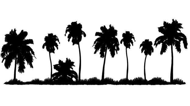 Tree silhouette set isolated on transparent background ai generated png