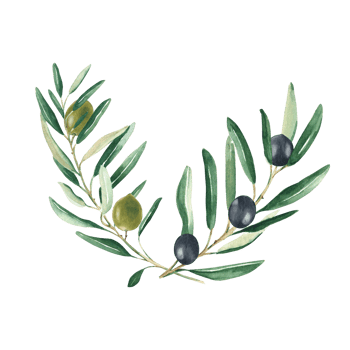 Olive branches bouquet with green and black olives. Watercolor hand drawn botanical illustration. Can be used for cards, menu, logos, cosmetic, food packaging design png