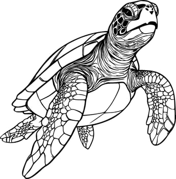 Realistic Turtle Vector Illustration 29