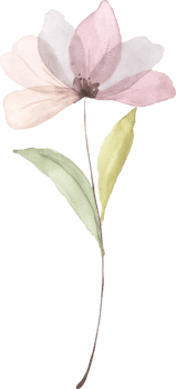 Pink Floral Watercolor png