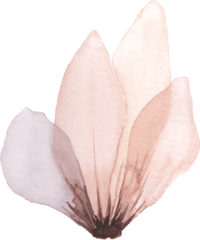 Pastel Flower Watercolor png