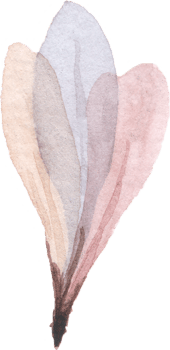 Pastel Flower Watercolor png