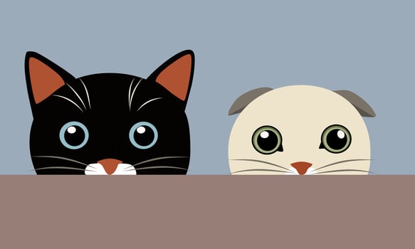 two cats peeking from behind the wall vector