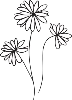 Aster blossom flowers and branch of leaves bvector illustration. hand Drawing aster vector illustration for the coloring book or page Black and white engraved ink art, for kids or adults
