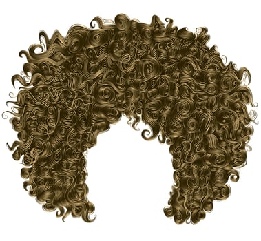 brown blonde trendy curly   hair  . realistic  3d . spherical hairstyle . fashion beauty style . vector