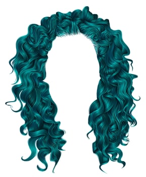 long curly hairs blue colors .  beauty fashion style . wig . vector