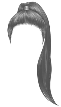 trendy women hairs gray silver  colour .high tail . fashion beauty style . vector