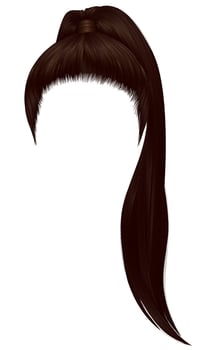 trendy women hairs brunette brown colour .high ponytail . fashion beauty style . vector