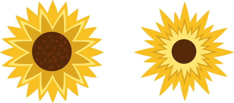 sun flower run vector