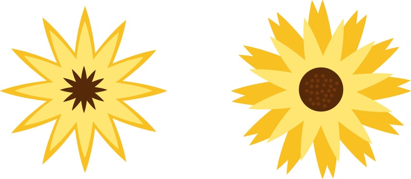 sun flower run vector