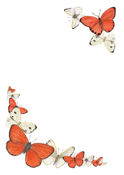 Watercolor celebration rectangle frame with orange and white butterflies. Illustration for greeting, birthday card design, invitation templates. png