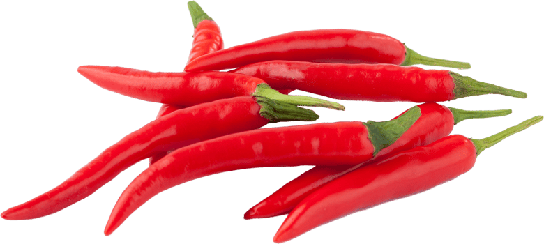 isolated red chilli on transparent background. png