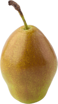 isolated pear fruit on transparent background. png