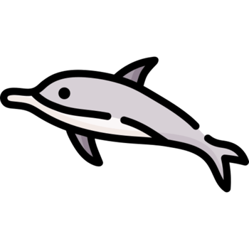 dolphin icon design png