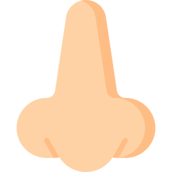 nose icon design png