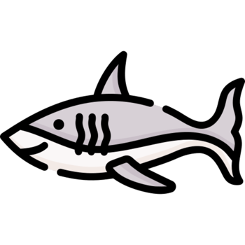 shark icon design png