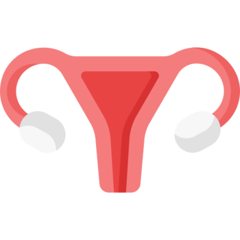uterus icon design png