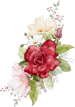 Watercolor arrangement with rose flowers png