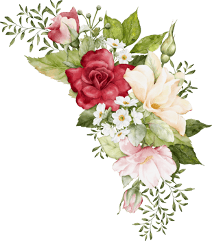 Watercolor with beautiful rose flowers png