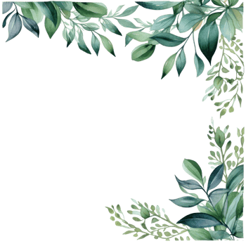 Green watercolor botanical leaves and branches frame png