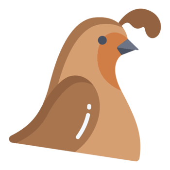 quail icon design png