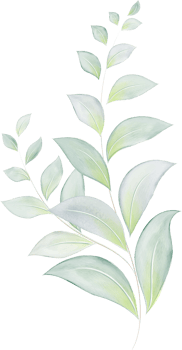 Green Leaves Branch Watercolor png