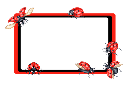 Watercolor illustration rectangular frame with red ladybugs and empty space. Compositions for posters, cards, banners, flyers, covers, playbills and other printed products. isolated png