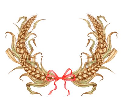 Watercolor illustration of a wreath of ripe dried wheat leaves with a red bow. Round frame of cobs isolated. For menus, banners, poster printing, recipes, labels, packaging design. png
