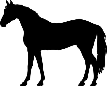 Premium Vector Horse logo design horse vector