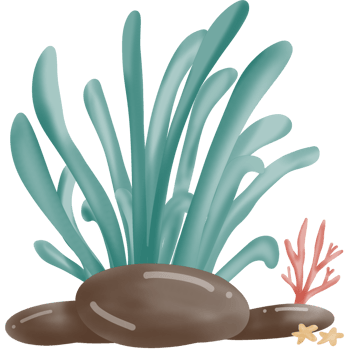 watercolor of corals png