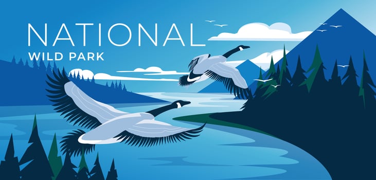 Flying Canadian Geese over forest mountains. Lake landscape with calm water. Blue and green. National wildlife park, tourism and travel advertising. Vector illustration