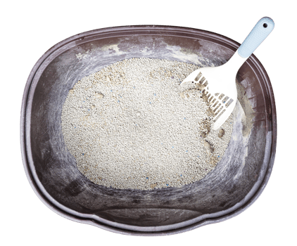 Top view white shovel in cat litter box png