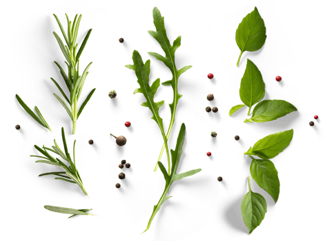 fresh mediterranean herb and spices with real transparent shadow isolated on transparent background. PNG Food background design element