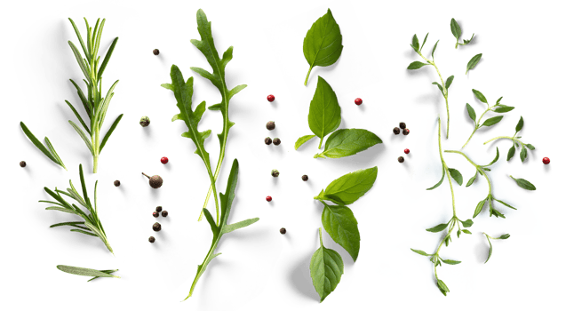 fresh mediterranean herb and spices with real transparent shadow isolated on transparent background. PNG Food background design element