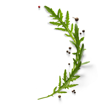 herb leaf, Fresh green organic arugula leaves and pepper on transparent background. Ingredient, spice for cooking. frame collection for design png